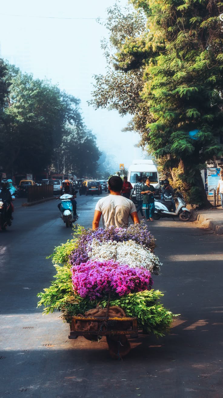 Early Morning Market Tour